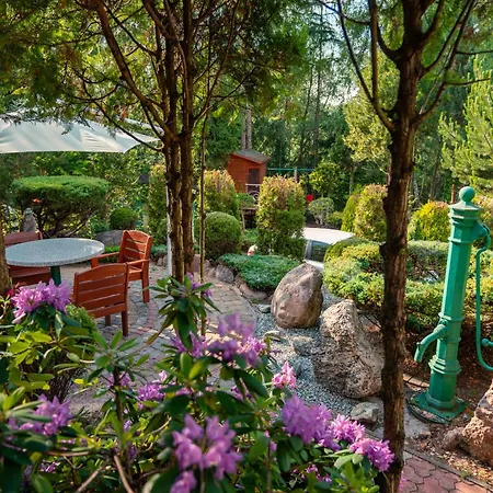 Zacisze Zygmuntowo *