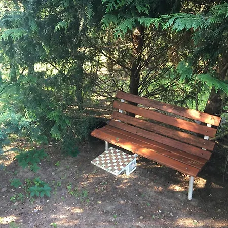 Zacisze Zygmuntowo Zygmuntowo (Konin)