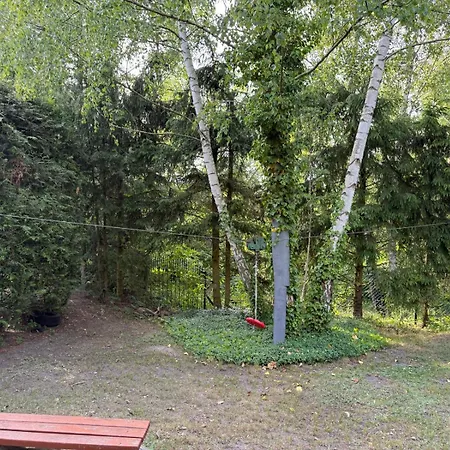 Lodge Zacisze Zygmuntowo