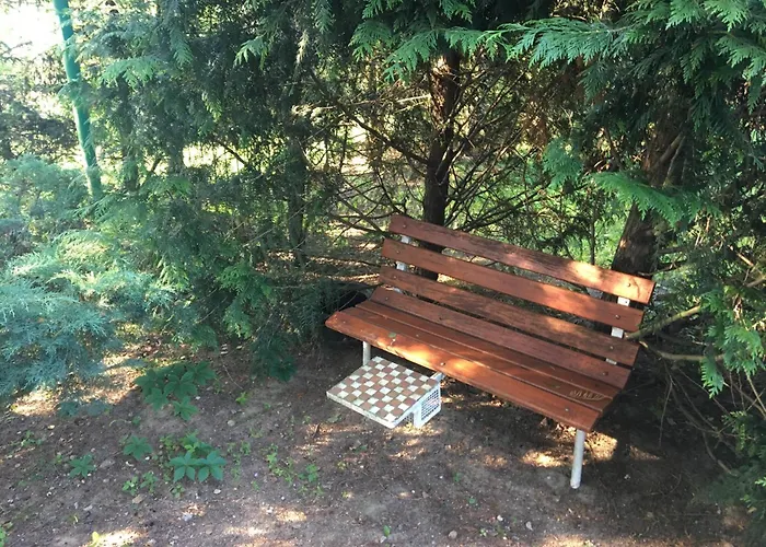 Zacisze Zygmuntowo Zygmuntowo (Konin)